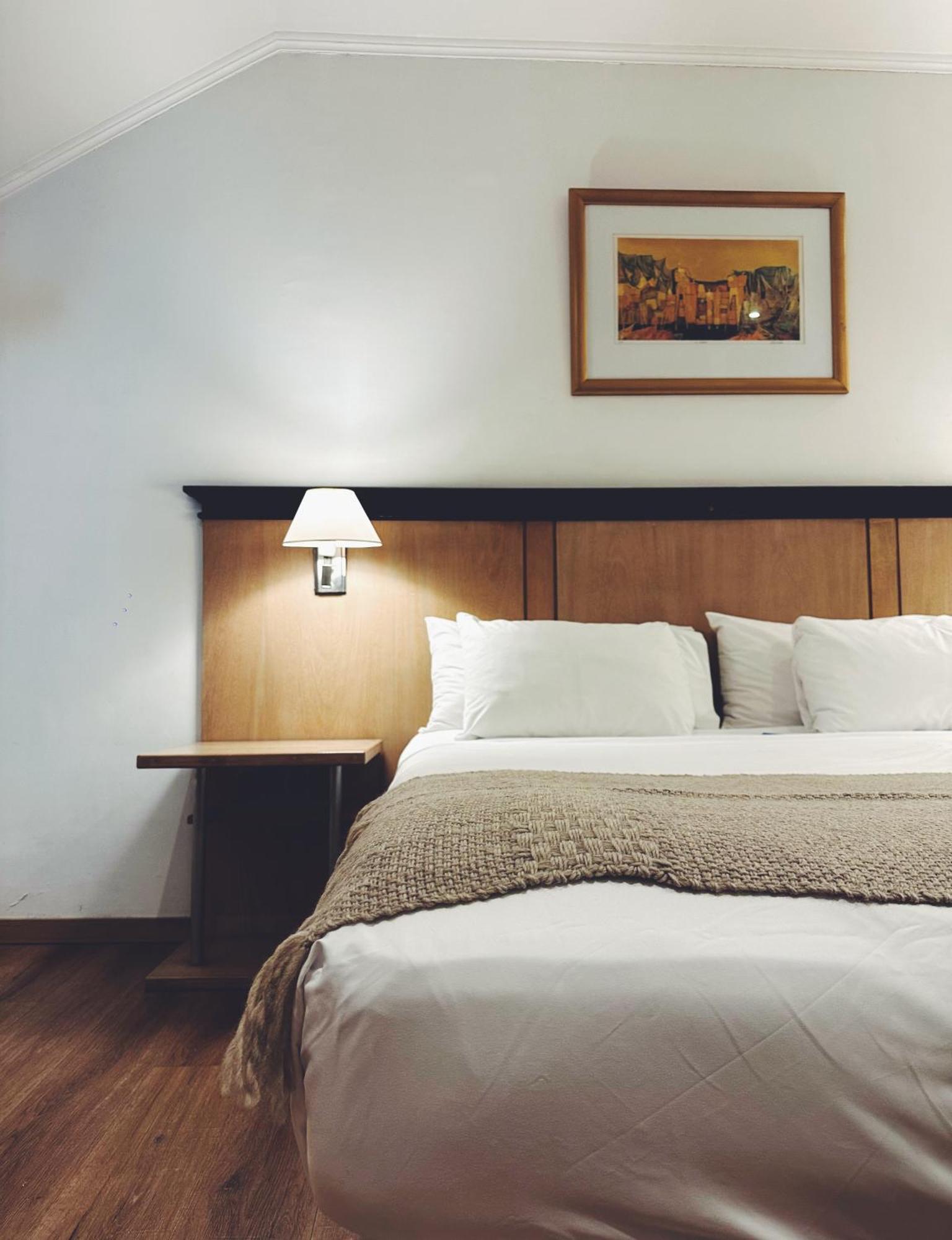 Argentino Hotel Mendoza Ngoại thất bức ảnh